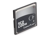 AddOn - Carte mémoire flash - 256 Mo - CompactFlash