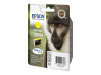 Epson T0894