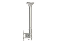 NEOMOUNTS FPMA-C100 ceiling mount