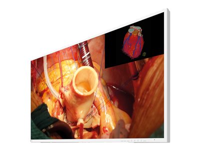 EIZO CuratOR EX4342 - LED monitor
