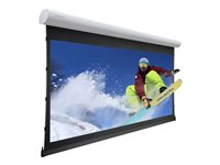 Projecta Elpro Concept HDTV Format - projection screen - 158" (402 cm)