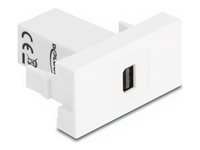 Delock Easy 45 Module mini DisplayPort female to mini DisplayPort female