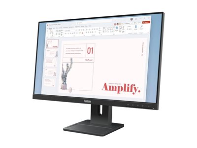 Lenovo ThinkVision E24-40