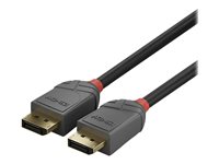 C ble DisplayPort 1.2, Anthra Line, 3m