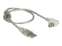 DeLOCK USB 2.0 USB-kabel 50cm Transparent