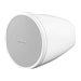 Bose DesignMax DM3P