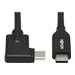 Tripp Lite USB C Cable (M/M)