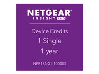 Netgear Insight NPR1SNG1-10000S
