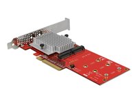 DeLOCK PCI Express Card > 2 x internal M.2 Interfaceadapter