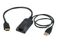 Avocent Server Interface Module - Video / USB forlænger - for AutoView AV3108, AV3216