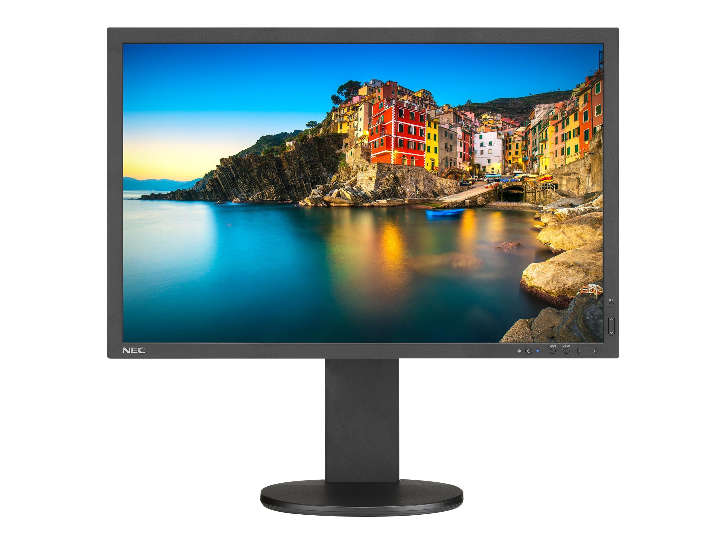 NEC MultiSync P243W-BK