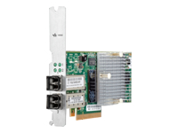 HPE - Adaptateur réseau - Gigabit Ethernet (iSCSI) x 2 - recommercialisé 