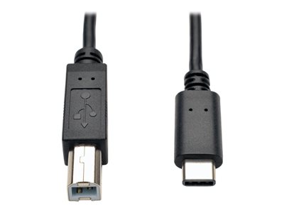 Tripp Lite 6ft USB 2.0 Hi-Speed Cable B Male to USB Type-C USB-C Male 6'