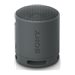 Sony SRS-XB100 - speaker - for portable use - wireless
