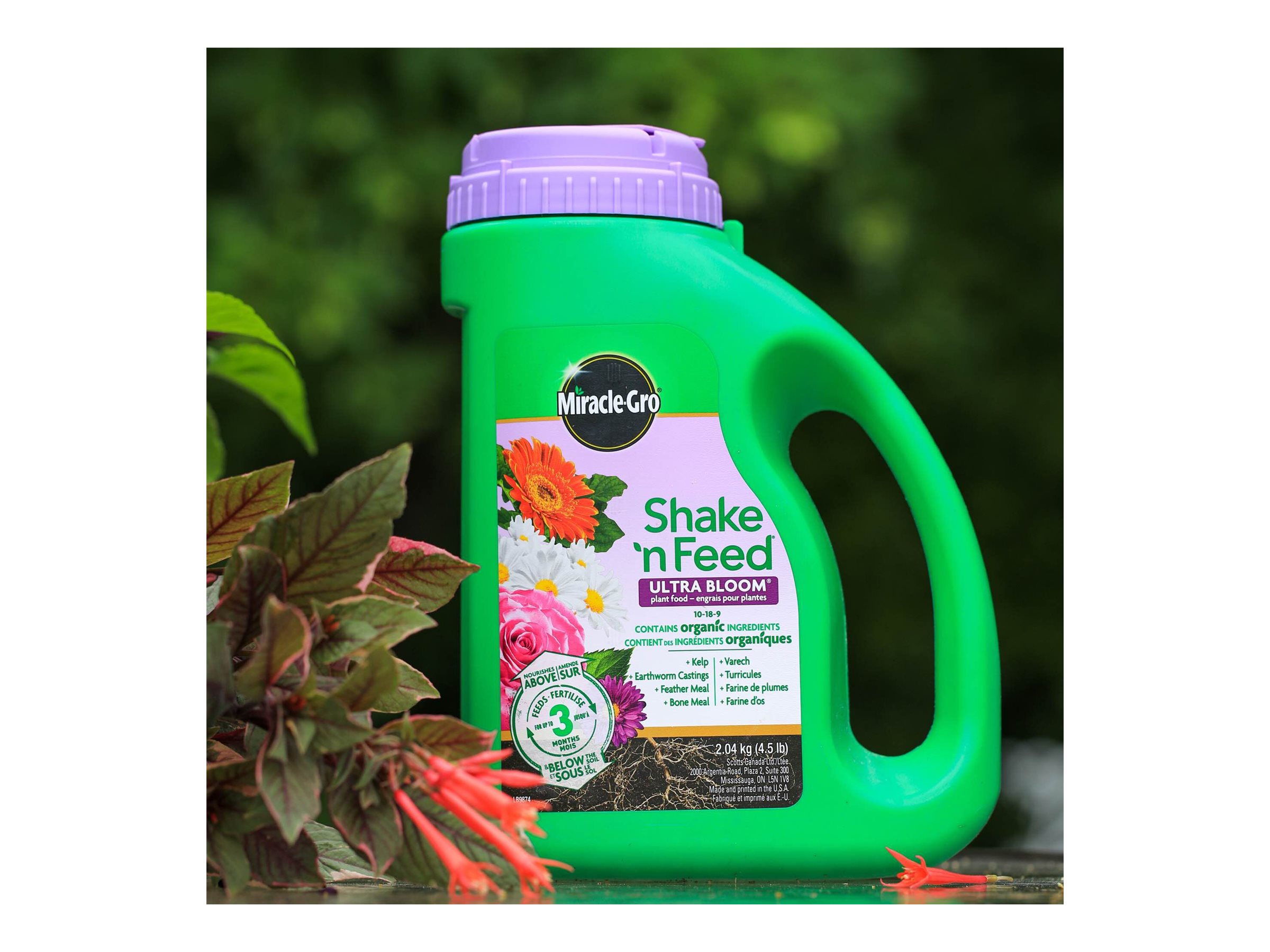 Miracle Gro Shake 'N Feed - Ultra Bloom - 2.04kg