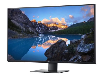 Dell UltraSharp U4320Q - LED monitor - 4K - 42.5