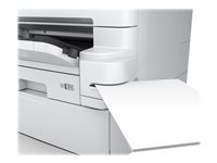 Epson Accessoires pour imprimantes C12C934361