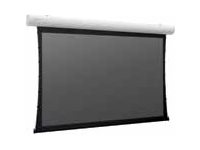 Projecta Elpro Concept projection screen - 162" (413 cm)