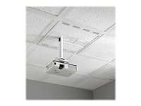2x2 Ceiling Box Chief 2