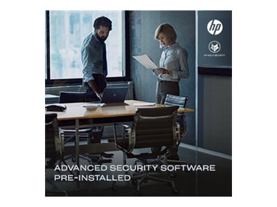 HP Pro Security Edition