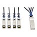 Tripp Lite 40GbE QSFP+ to 10GbE SFP+ Passive Copper Breakout Cable QSFP-4SFP10G-CU1M Compatible 1M 3