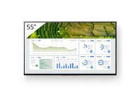 Sony Moniteurs 55'' FW-55BZ30L/TM