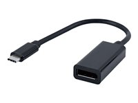 Cablexpert A-CM-DPF-01 USB / DisplayPort adapter 15cm