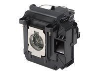 Epson Options Epson V13H010L64