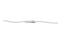 LOGI RALLY MIC POD EXTENSION CABLE WHITE