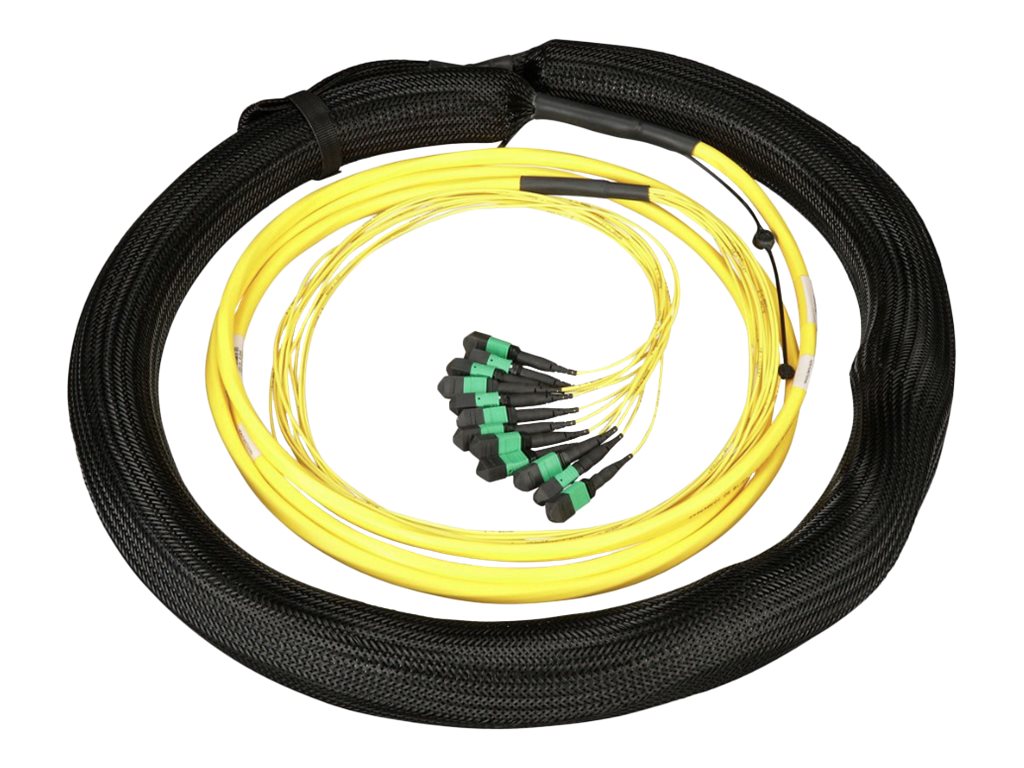 Panduit QuickNet - Trunk cable