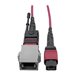 Eaton Tripp Lite Series MTP/MPO Parallel Optics Base-8 Migration Fiber Adapter, Polarity C to B, 12 Fiber, 40GB/100GB, OM4 M/F, Magenta, 8 in.