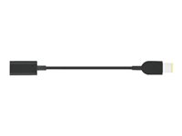 Lenovo USB-C to Slim-tip Cable Adapter Stikadapter