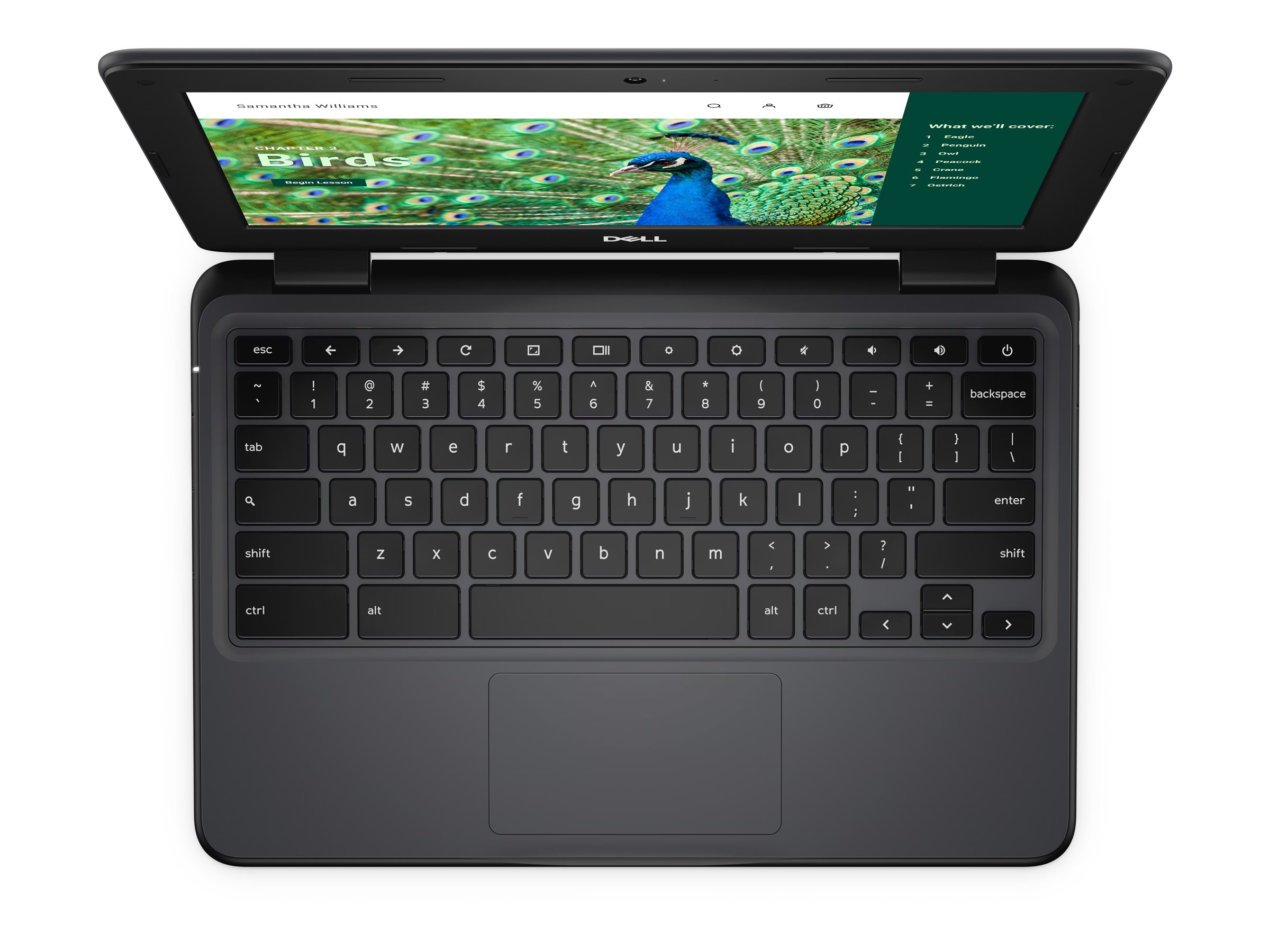 Chromebook3100  DELL 本体 Amazon.com: Dell Chromebook 3100 (wifi) 4 GB, 16GB Black