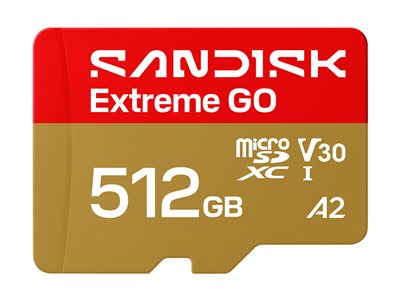 Extreme Go - Flash memory card - 512 GB - A1 / Vid