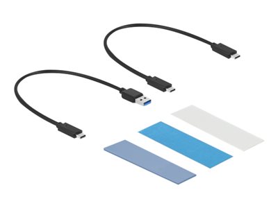 DELOCK Externes USB Type-C Combo Gehäuse