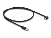 Delock USB 2.0 USB-kabel 1m Sort