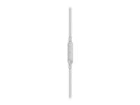BELKIN Ecouteurs filaires USB-C