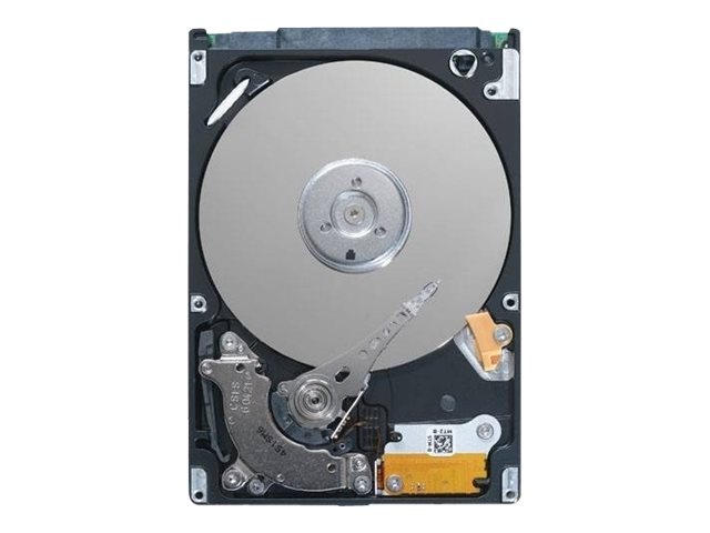 Dell - Hard drive - 300 GB