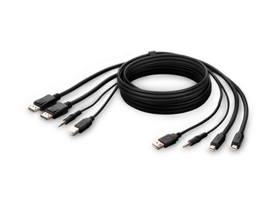 Belkin Secure KVM Combo Cable