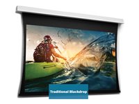 Da-Lite Tensioned DescenderPro projection screen - 140" (355 cm)