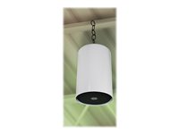 Valcom VIP-415 IP speaker for PA system Ethernet, PoE white (grille color black)