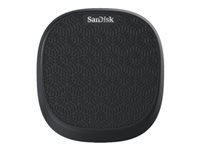 Sandisk Cls USB SDIB20N-032G-GN9UN