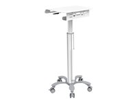 NEOMOUNTS Mobile Laptop Cart 10-22p