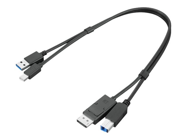 Lenovo Dual Head - Display / USB cable kit