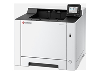 Kyocera Document Solutions  Solution d'impression 110C0H3NL0