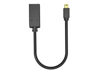 VISION adapter - DisplayPort / HDMI