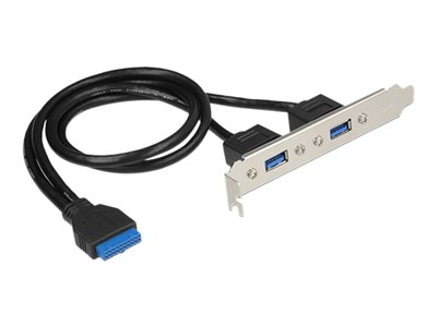 DELOCK Slotblech 2x USB3.0