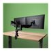 R-Go Double monitor arm Caparo