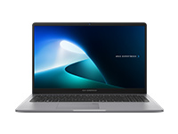 ASUS ExpertBook P1 P1503CVA-P716512-CA