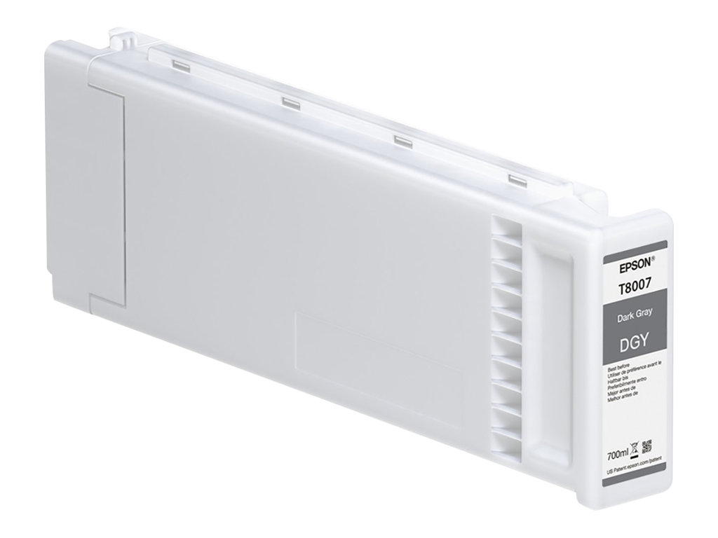 EPSON 5LB Singlepack Dark Gray T800700
